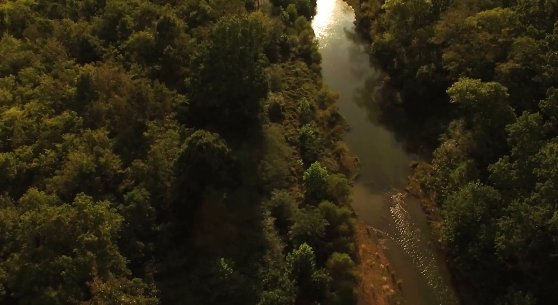 Aerial view of the river winding through the woods at Wyelea