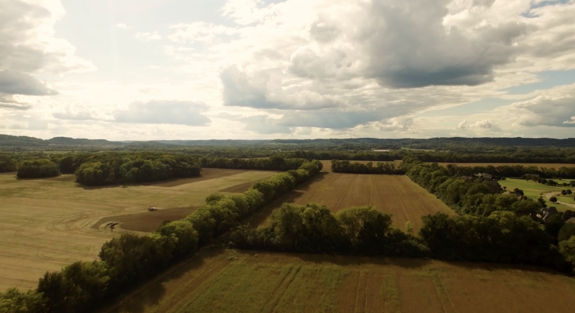 Aerial view of the open fields and tree lines at Wyelea